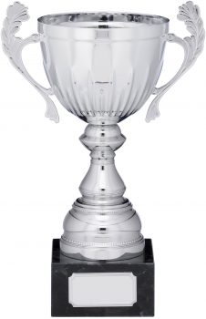 9Inch SILVER CUP TROPHY