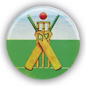 CRICKET THEME 1inchDOMED CENTRE