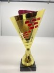 11" GOLD RED TROPHY