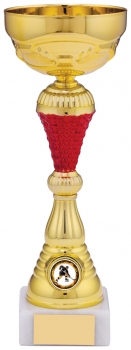 10.5InchGOLD RED TROPHY T/158