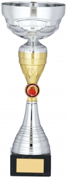 12.5InchSILVER AND GOLD TROPHY