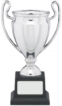 8Inch SILVER CUP TROPHY