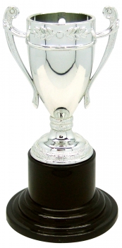 4Inch NOVELTY SILVER CUP