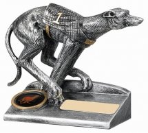 Greyhound