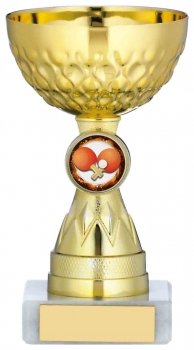 5.5inchGOLD CUP TROPHY