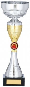 11InchSILVER AND GOLD TROPHY