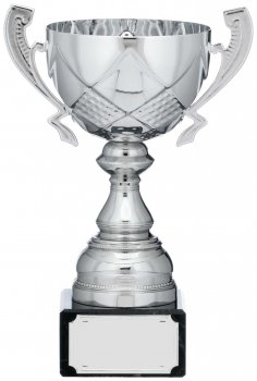 8.75inchSILVER CUP TROPHY