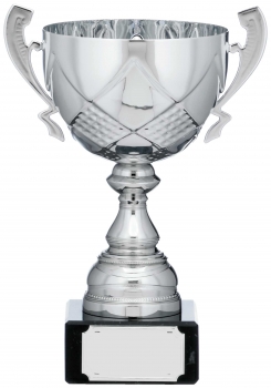 9.25inchSILVER CUP TROPHY