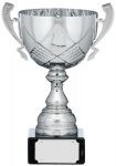 9.25"SILVER CUP TROPHY