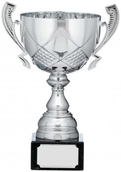 11.25inchSILVER CUP TROPHY
