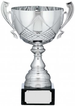 13.75inchSILVER CUP TROPHY