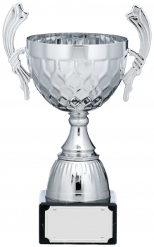 9.25inchSILVER CUP TROPHY