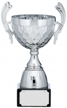 9.25InchSILVER CUP TROPHY