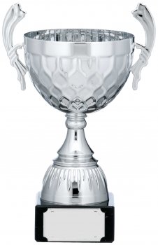 10inchSILVER CUP TROPHY
