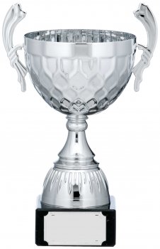 10InchSILVER CUP TROPHY