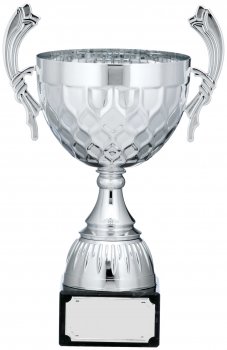 12.25inchSILVER CUP TROPHY