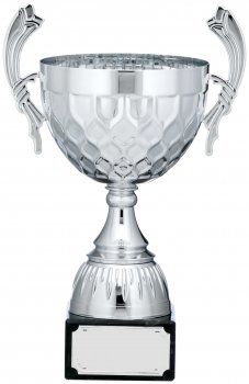 12.25inchSILVER CUP TROPHY