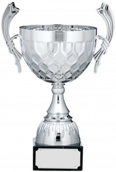 15inchSILVER CUP TROPHY
