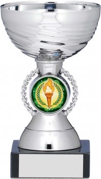 4.75inch SILVER CUP TROPHY