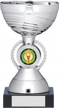 6inch SILVER CUP TROPHY