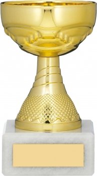 5.25inch GOLD CUP TROPHY