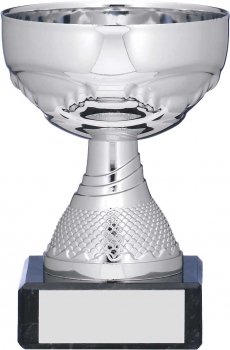 3.5inch SILVER TROPHY