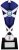 8.75"SILVER BLUE TROPHY