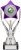 200mm SILVER PURPLE TROPHY
