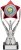 200mm SILVER RED TROPHY
