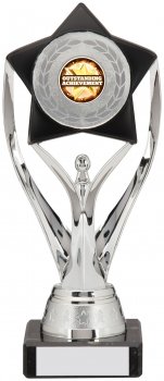 200mm SILVER BLACK TROPHY