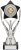 200mm SILVER BLACK TROPHY