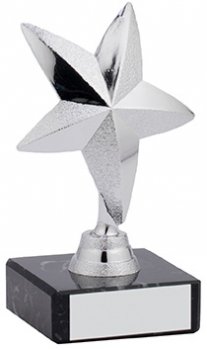 4.5InchSTAR AWARD