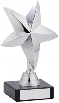 6InchSTAR AWARD