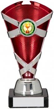 170mm SILVER RED TROPHY