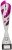 382mm SILVER PINK STAR TROPHY