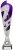 323mm SILVER PURPLE STAR TROPH