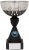 200mm SILVER BLACK TROPHY