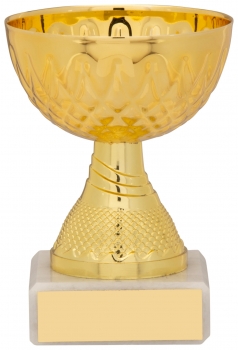 95MM GOLD TROPHY T/170 S134B