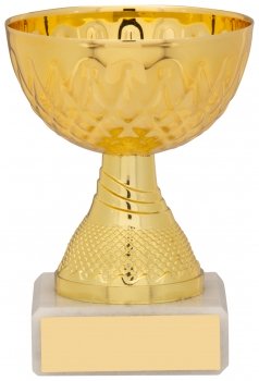 95MM GOLD TROPHY T/170 S134B