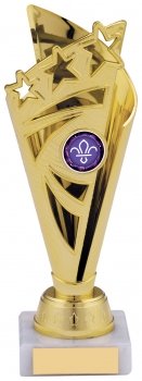 8.25inch GOLD TROPHY