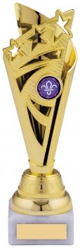 9.25inch GOLD TROPHY