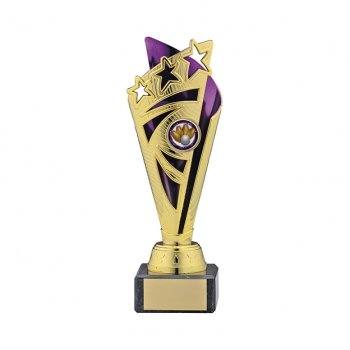 10Inch GOLD PURPLE TROPHY