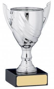 5inch SILVER CUP TROPHY