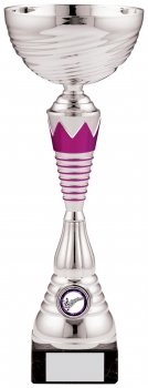 12.5InchSILVER AND PINK TROPHY