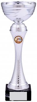 11Inch SILVER TROPHY