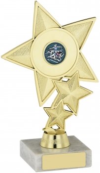 6inch STAR TROPHY HOLDER TROPHY