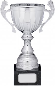 9inch SILVER CUP TROPHY