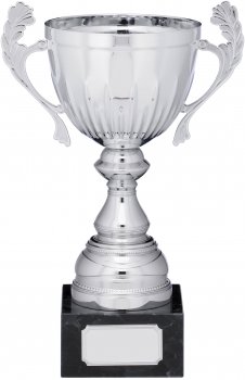 9inch SILVER CUP TROPHY