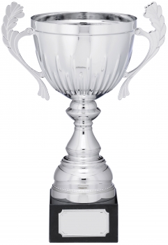 12inch SILVER CUP TROPHY