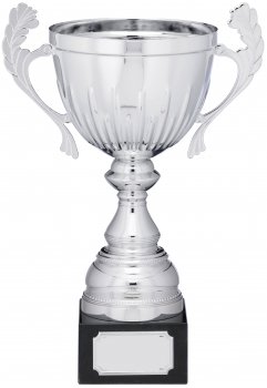 12inch SILVER CUP TROPHY